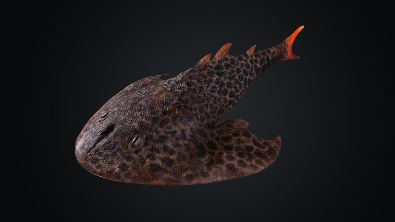 7  靈動(dòng)土家魚(yú)（Tujiaaspis vividus）三維復(fù)原。擬石科技制作s.jpg