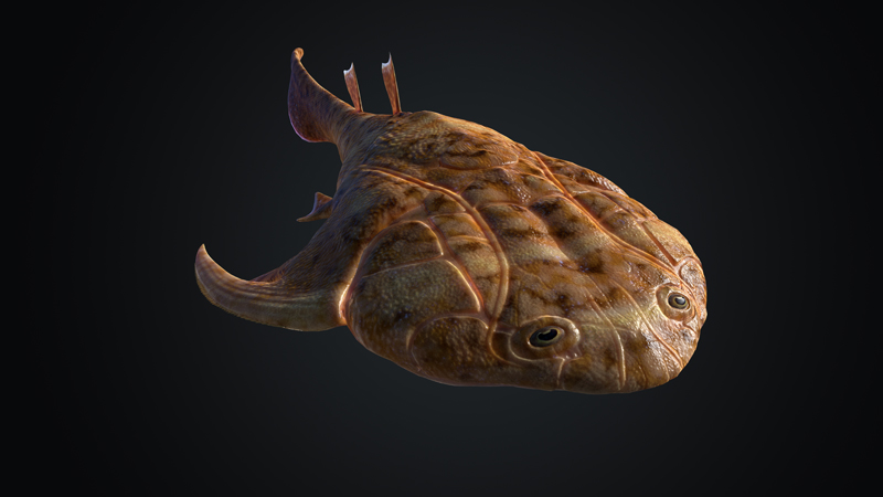 12  奇跡秀山魚(yú)（Xiushanosteus mirabilis）三維復(fù)原。擬石科技制作s.jpg