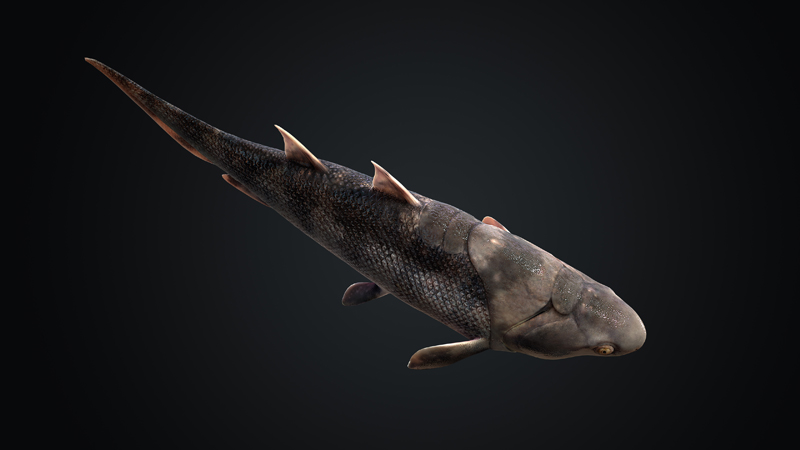 10  蠕紋沈氏棘魚(yú)（Shenacanthus vermiformis）三維復(fù)原。擬石科技制作s.jpg