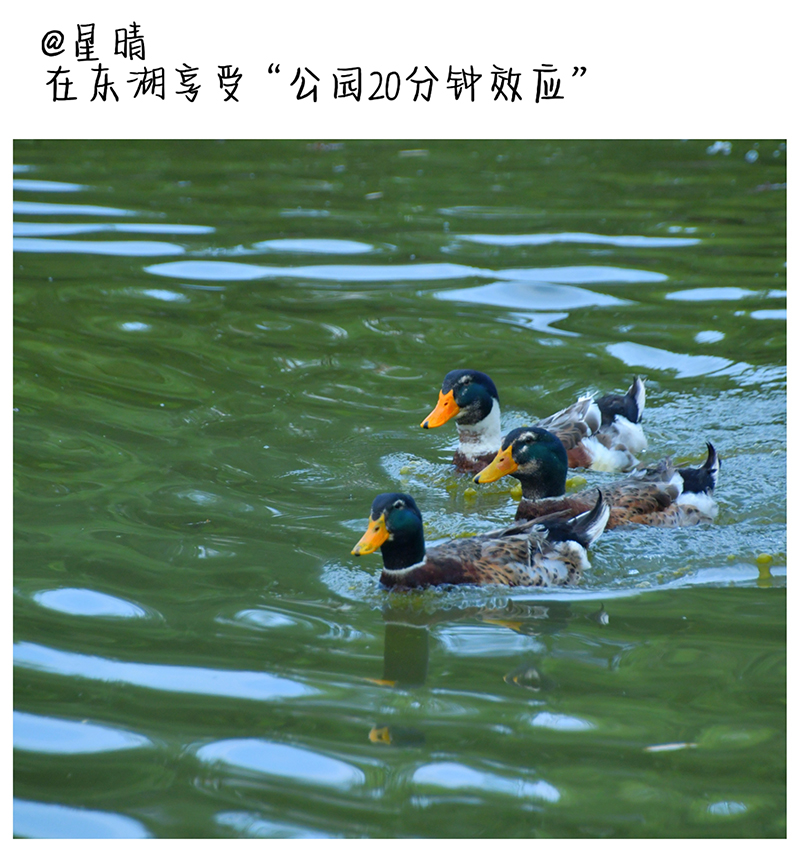 8s.jpg